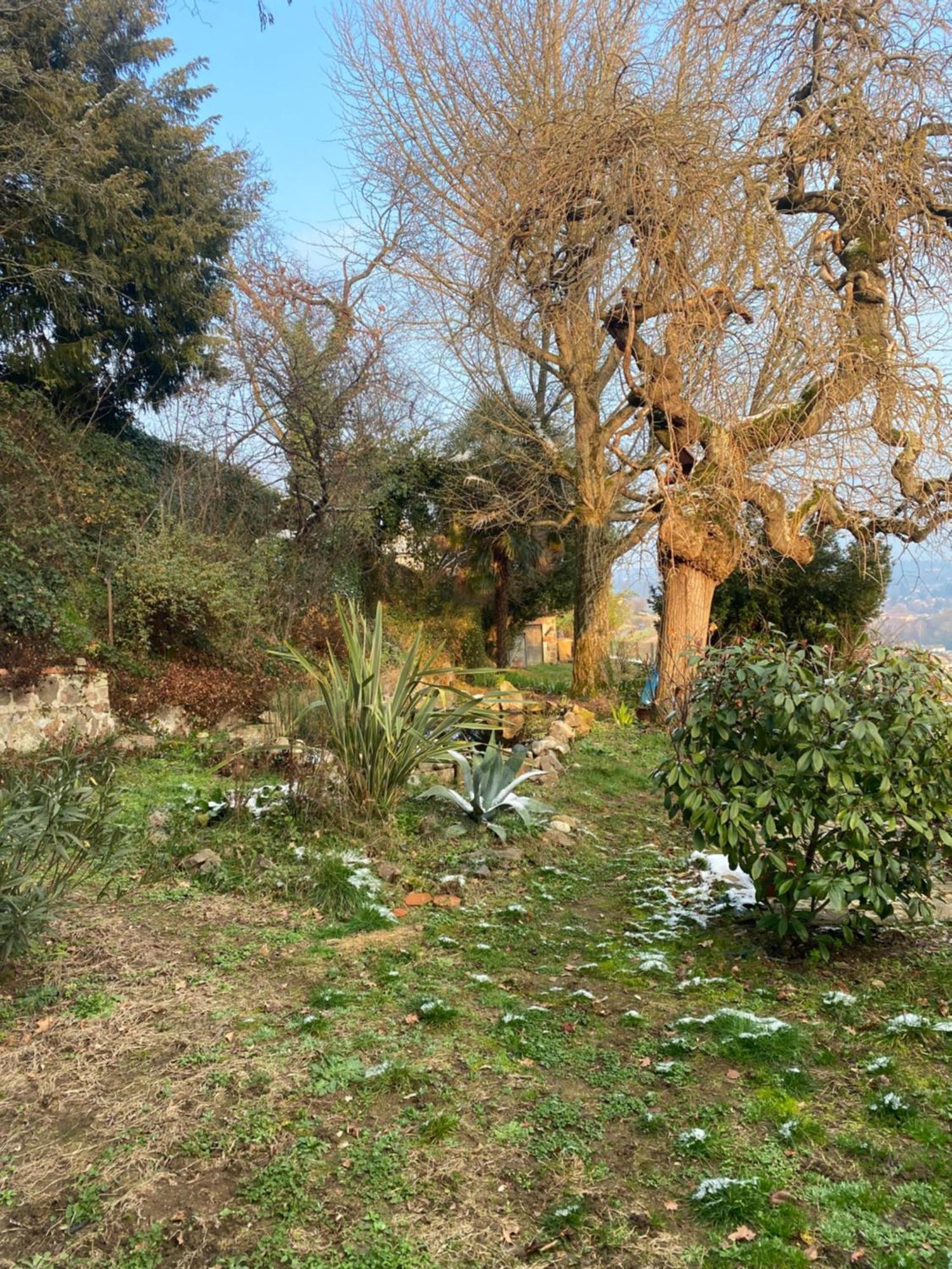 Les Agapanthes Bed and Breakfast Vaux-en-Beaujolais Buitenkant foto